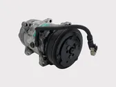 Klimakompressor Pumpe