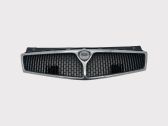 Front bumper upper radiator grill