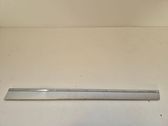 Front door trim (molding)