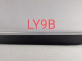 Rear door trim (molding)