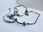 Front door wiring loom