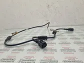 Cableado del sensor ABS delantero