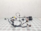 Front door wiring loom