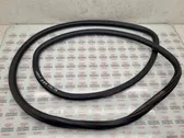 Front door rubber seal