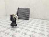 Heater blower radiator