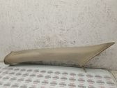 (A) pillar trim