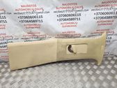 (B) pillar trim (top)
