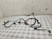 Front door wiring loom