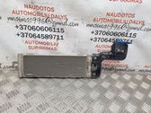 Radiatore del carburatore (radiatore)