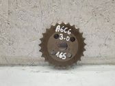 Timing chain sprocket