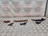 Slide rail for timing chain