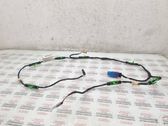 Front door wiring loom