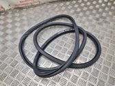Rear door rubber seal (on body)