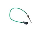 Exhaust gas temperature sensor