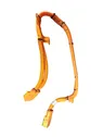 Other wiring loom
