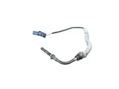 Exhaust gas temperature sensor