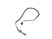 Abgastemperatursensor