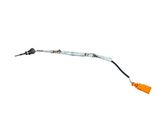 Abgastemperatursensor