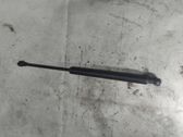 Front bonnet/hood damper/strut