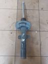 Front shock absorber/damper