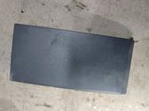 Other rear door trim element