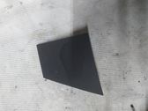 Side speaker trim/cover