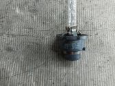 Xenon bulb