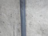 Moldura protectora del borde delantero