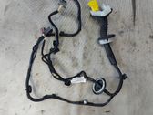 Front door wiring loom