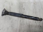 Rear shock absorber/damper