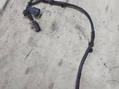 Other wiring loom