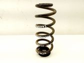 Rear coil spring