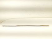Rear door glass trim molding
