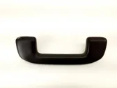 Front interior roof grab handle