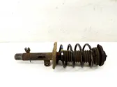 Front shock absorber/damper