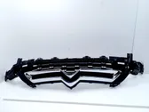 Front bumper upper radiator grill