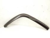 Fender trim (molding)