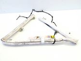 Roof airbag