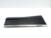 Rear door trim (molding)