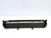 Intercooler radiator