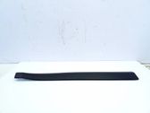 Front door trim (molding)