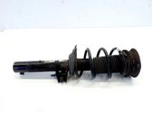 Front shock absorber/damper