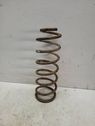 Front coil spring