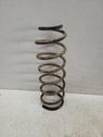 Front coil spring