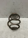 Rear coil spring