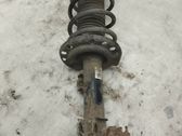 Front shock absorber with coil spring