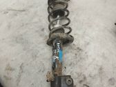 Front shock absorber with coil spring