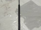 Tailgate/trunk strut/damper
