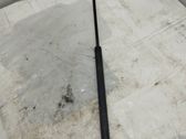 Front bonnet/hood damper/strut
