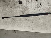 Front bonnet/hood damper/strut